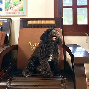 https://blue-clouds-homestay.hotelsofhoian.com